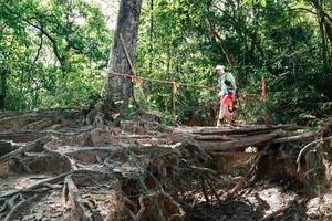 BIB: 
                            <button type="button" onclick="openModal(27800280)" class="btn btn-primary btn-sm float-right btn-popup" data-toggle="modal" data-target=".modal-high-quality">
                        <i class="fas fa-shopping-cart"></i> Add to Cart
                    </button>
                                            <button type="button" onclick="isThisMe(27800280, true)" class="btn btn-success btn-sm float-right btn-popup btn-isme hidden" data-toggle="tooltip" data-placement="bottom" title="นี่คือรูปของคุณใช่ไหม คลิกที่นี่เพื่อเอาเข้าอัลบั้ม">
                        <i class="fas fa-plus"></i> Add to album
                    </button>
                    <button type="button" onclick="isThisMe(27800280, false)" class="btn btn-warning btn-sm float-right btn-popup btn-isnotme hidden">
                        <i class="fas fa-ban"></i> Remove from album
                    </button>